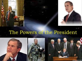The Powers of the President 