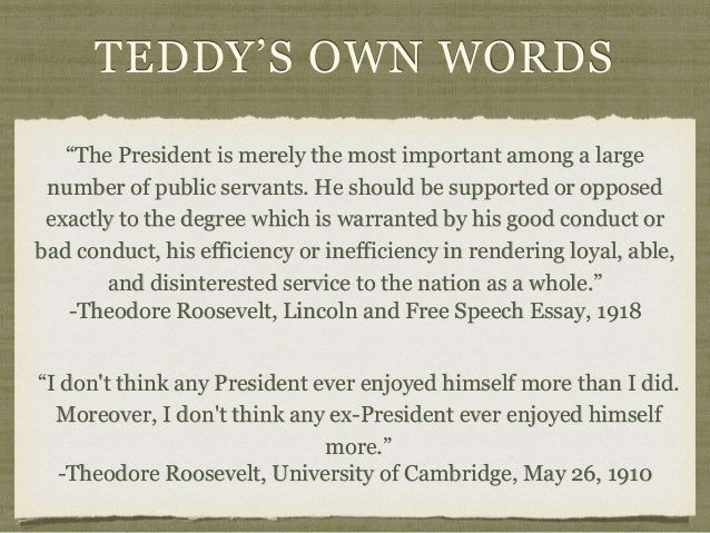 Theodore roosevelt's essay on hyphen