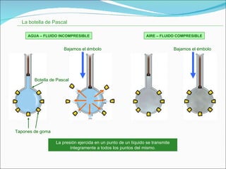 La botella de Pascal La presión ejercida en un punto de un líquido se transmite íntegramente a todos los puntos del mismo. Botella de Pascal Tapones de goma Bajamos el émbolo Bajamos el émbolo AGUA – FLUIDO INCOMPRESIBLE AIRE – FLUIDO COMPRESIBLE 