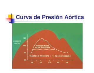 Curva de Presión Aórtica
 