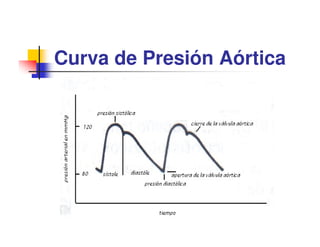Curva de Presión Aórtica
 