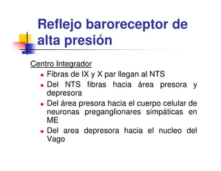Reflejo baroreceptor de
 alta presión
Centro Integrador
    Fibras de IX y X par llegan al NTS
    Del NTS fibras hacia área presora y
    depresora
    Del área presora hacia el cuerpo celular de
    neuronas preganglionares simpáticas en
    ME
    Del area depresora hacia el nucleo del
    Vago
 