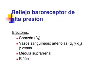 Reflejo baroreceptor de
alta presión

Efectores:
    Corazón (ß1)
    Vasos sanguíneos: arteriolas (α1 y α2)
    y venas
    Médula suprarrenal
    Riñón
 