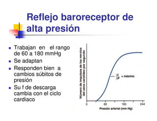 Reflejo baroreceptor de
    alta presión
Trabajan en el rango
de 60 a 180 mmHg
Se adaptan
Responden bien a
cambios súbitos de
presión
Su f de descarga
cambia con el ciclo
cardiaco
 