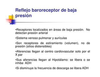 Reflejo baroreceptor de baja
presión

•Receptores localizados en áreas de baja presión. No
detectan presión arterial
•Sistema venoso pulmonar y aurículas
•Son receptores de estiramiento (volumen), no de
presión (sitios distensibles)
•Aferencias llegan al centro cardiovascular solo por el
X par
•Sus aferencias llegan al Hipotálamo: se libera o se
inhibe ADH
•Si disminuye la frecuencia de descarga se libera ADH
 