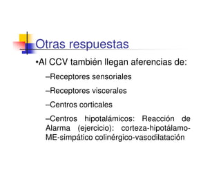 Otras respuestas
•Al CCV también llegan aferencias de:
  –Receptores sensoriales
  –Receptores viscerales
  –Centros corticales
  –Centros hipotalámicos: Reacción de
  Alarma (ejercicio): corteza-hipotálamo-
  ME-simpático colinérgico-vasodilatación
 