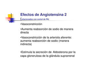 Efectos de Angiotensina 2
(relacionados con contol de PA)
•Vasoconstricción
•Aumenta reabsorción de sodio de manera
directa
•Vasoconstricción de la arteriola aferente:
aumenta reabsorción de sodio (manera
indirecta)

•Estimula la secreción de Aldosterona por la
capa glonerulosa de la glándula suprarrenal
 