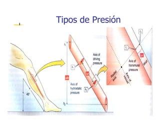 Tipos de Presión
 