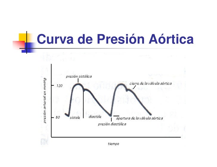 Por eso nunca va a dolor de cabeza hipertensión