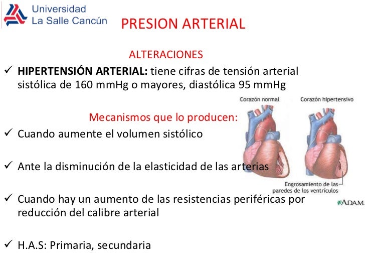 Cure etiologia de la hipertensión arterial con la naturaleza