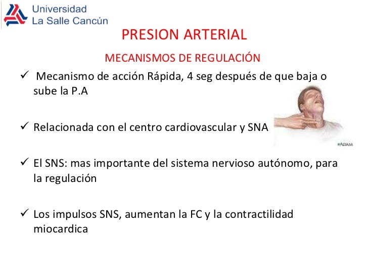 hipertensión craneal se explica