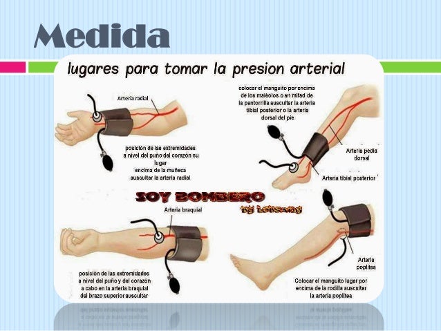 Puntos Anatomicos Para Tomar La Presion Arterial es.slideshare.net