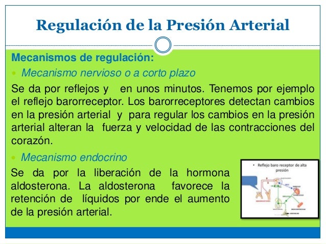 Duele la espalda en los riñones y da en el vientre