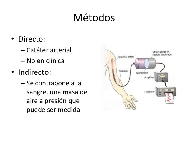 Presión arterial Presión arterial