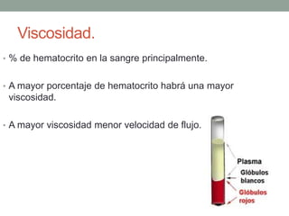 Viscosidad. 
• % de hematocrito en la sangre principalmente. 
• A mayor porcentaje de hematocrito habrá una mayor 
viscosidad. 
• A mayor viscosidad menor velocidad de flujo. 
 