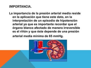 presion arterial media