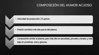 COMPOSICIÓN DEL HUMOR ACUOSO:
• Velocidad de producción: 2.5 µl/min.
• Presión osmótica más alta que la del plasma.
• Composición similar al plasma, pero más alto en ascorbato, piruvato y lactato; y más
bajo en proteínas, urea y glucosa.
 