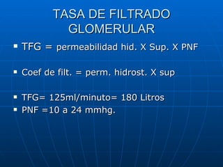 TASA DE FILTRADO
GLOMERULAR
TFG = permeabilidad hid. X Sup. X PNF
Coef de filt. = perm. hidrost. X sup
TFG= 125ml/minuto= 180 Litros
PNF =10 a 24 mmhg.