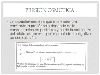 PRESIÓN OSMÓTICA
• La ecuación nos dice que a temperatura
constante la presión solo depende de la
concentración de partículas y no de la naturaleza
del soluto, es por eso que es propiedad coligativa
de una solución.

 