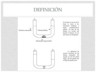 DEFINICIÓN

 