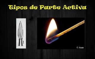 Tipos de Parte Activa
 
