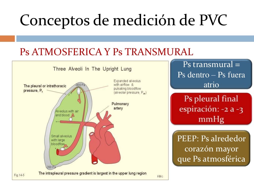 PresióN Venosa Central