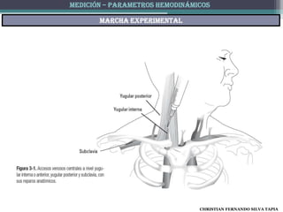 MEDICIÓN – PARAMETROS HEMODINÁMICOS

       Marcha experimental




                                CHRISTIAN FERNANDO SILVA TAPIA
 