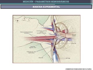 MEDICIÓN – PARAMETROS HEMODINÁMICOS

       Marcha experimental




                                CHRISTIAN FERNANDO SILVA TAPIA
 