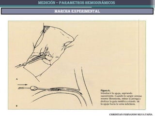 MEDICIÓN – PARAMETROS HEMODINÁMICOS

       Marcha experimental




                                CHRISTIAN FERNANDO SILVA TAPIA
 