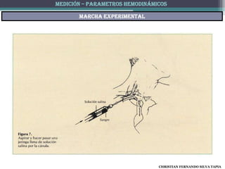 MEDICIÓN – PARAMETROS HEMODINÁMICOS

       Marcha experimental




                                CHRISTIAN FERNANDO SILVA TAPIA
 