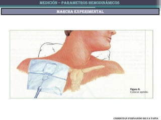 MEDICIÓN – PARAMETROS HEMODINÁMICOS

       Marcha experimental




                                CHRISTIAN FERNANDO SILVA TAPIA
 