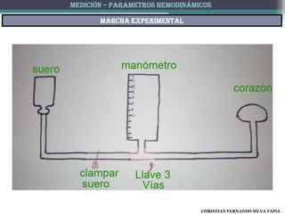 MEDICIÓN – PARAMETROS HEMODINÁMICOS

       Marcha experimental




                                CHRISTIAN FERNANDO SILVA TAPIA
 