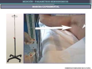 MEDICIÓN – PARAMETROS HEMODINÁMICOS

       Marcha experimental




                                CHRISTIAN FERNANDO SILVA TAPIA
 