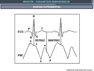 MEDICIÓN – PARAMETROS HEMODINÁMICOS

       Marcha experimental




                                CHRISTIAN FERNANDO SILVA TAPIA
 