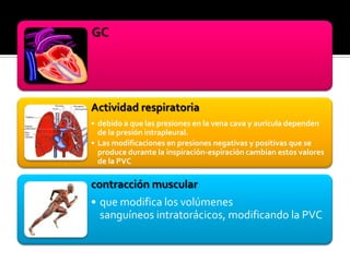GC
Actividad respiratoria
• debido a que las presiones en la vena cava y aurícula dependen
de la presión intrapleural.
• Las modificaciones en presiones negativas y positivas que se
produce durante la inspiración-espiración cambian estos valores
de la PVC
contracción muscular
• que modifica los volúmenes
sanguíneos intratorácicos, modificando la PVC
 
