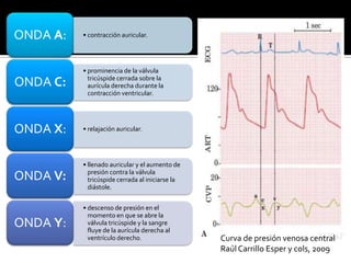 • contracción auricular.ONDA A:
• prominencia de la válvula
tricúspide cerrada sobre la
aurícula derecha durante la
contracción ventricular.
ONDA C:
• relajación auricular.ONDA X:
• llenado auricular y el aumento de
presión contra la válvula
tricúspide cerrada al iniciarse la
diástole.
ONDA V:
• descenso de presión en el
momento en que se abre la
válvula tricúspide y la sangre
fluye de la aurícula derecha al
ventrículo derecho.
ONDA Y:
Curva de presión venosa central
Raúl Carrillo Esper y cols, 2009
 