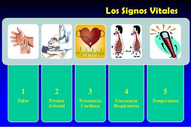 Presion arterial