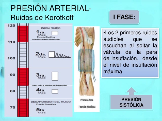 Presion arterial 2015