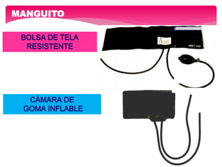 MANGUITO
BOLSA DE TELA
RESISTENTE
CÁMARA DE
GOMA INFLABLE
 