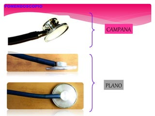 FONENDOSCOPIO
CAMPANA
PLANO
 