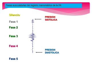 Silencio
Fase 1
Fase 2
Fase 3
Fase 4
Fase 5
Fases ausculatorias del registro manométrico de la PA
PRESION
SISTOLICA
PRESION
DIASTOLICA
 