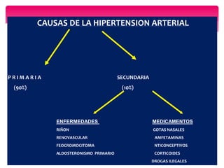 CAUSAS DE LA HIPERTENSION ARTERIAL
P R I M A R I A SECUNDARIA
(90%) (10%)
ENFERMEDADES MEDICAMENTOS
RIÑON GOTAS NASALES
RENOVASCULAR AMFETAMINAS
FEOCROMOCITOMA NTICONCEPTIVOS
ALDOSTERONISMO PRIMARIO CORTICOIDES
DROGAS ILEGALES
 
