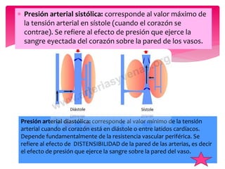  Presión arterial sistólica: corresponde al valor máximo de
la tensión arterial en sístole (cuando el corazón se
contrae). Se refiere al efecto de presión que ejerce la
sangre eyectada del corazón sobre la pared de los vasos.
Presión arterial diastólica: corresponde al valor mínimo de la tensión
arterial cuando el corazón está en diástole o entre latidos cardíacos.
Depende fundamentalmente de la resistencia vascular periférica. Se
refiere al efecto de DISTENSIBILIDAD de la pared de las arterias, es decir
el efecto de presión que ejerce la sangre sobre la pared del vaso.
 