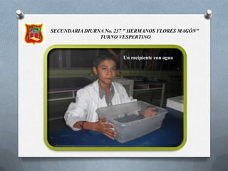 SECUNDARIA  DIURNA No. 237 "HERMANOS FLORES MAGÓN"  TURNO VESPERTINOMATERIALUna botella de plástico