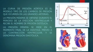 presion-diastolica-y-sistolica-pptx