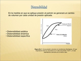 Presiones Pulmonares | PPT