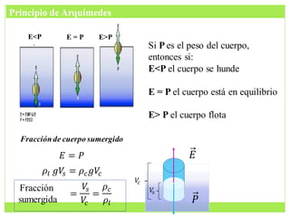 E<P E = P E>P
Fracciónde cuerpo sumergido
Si P es el peso del cuerpo,
entonces si:
E<P el cuerpo se hunde
E = P el cuerpo está en equilibrio
E> P el cuerpo flota
𝜌𝑙 𝑔𝑉
𝑠 = 𝜌𝑐𝑔𝑉
𝑐
𝐸 = 𝑃
=
𝑉
𝑠
𝑉
𝑐
=
𝜌𝑐
𝜌𝑙
Fracción
sumergida
𝐸
𝑃
Principio de Arquímedes
𝑉
𝑐
𝑉
𝑠
 