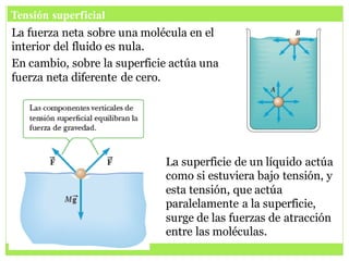 Tensión superficial
La fuerza neta sobre una molécula en el
interior del fluido es nula.
En cambio, sobre la superficie actúa una
fuerza neta diferente de cero.
La superficie de un líquido actúa
como si estuviera bajo tensión, y
esta tensión, que actúa
paralelamente a la superficie,
surge de las fuerzas de atracción
entre las moléculas.
 