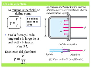 Tensión superficial
La tensión superficial se
define como:
 F es la fueza y l es la
longitud a lo largo de la
cual actúa la fuerza.
En el caso del alambre:
Se requiereuna fuerza F para tirar del
alambremóvil e incrementarasí el área
superficial del líquido
Su unidad
en el SI es :
N/m
 
