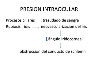 PRESION INTRAOCULAR
Procesos ciliares    trasudado de sangre
Rubiosis iridis     neovascularizacion del iris

                        ángulo iridocorneal

        obstrucción del conducto de schlemn
 